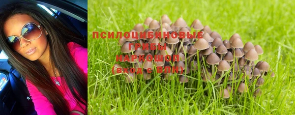 ECSTASY Зерноград