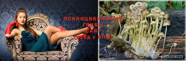 соль ск Зеленодольск