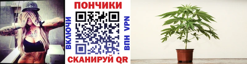 Марихуана Amnesia  Купить  Обь 